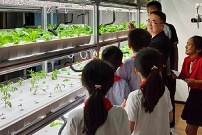 郑州z6mg中国区官网入口电子设计创新实验室开放参观！中小学生现场观看操作无土栽培新技术
